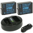 Panasonic DMW-BLC12 Battery (2-Pack) and Dual Charger by Wasabi Power Fashion